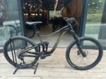 Giant Giant Reign 29 2022 L
